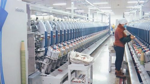 伊宁县 奋力推进纺织产业高质量发展