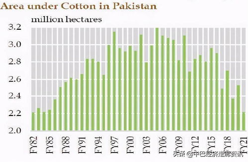巴基斯坦棉花产量大幅下降,纺织产业供应链恐受影响